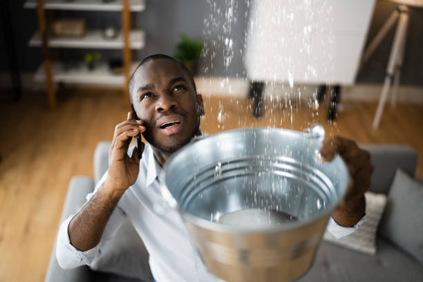 Best 24-hour water damage restoration  in Vienna, VA