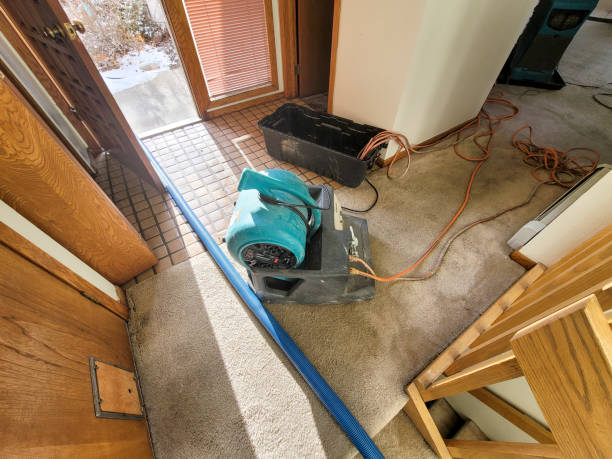 Best Water damage restoration near me  in Vienna, VA