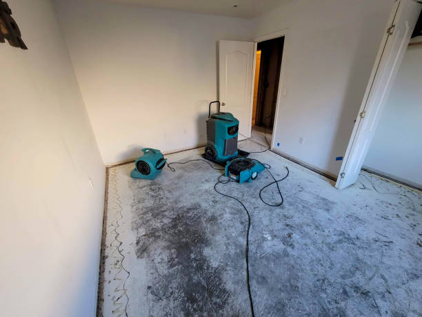 Best Commercial water damage restoration  in Vienna, VA