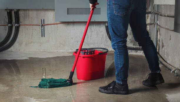Best Water damage cleanup near me  in Vienna, VA